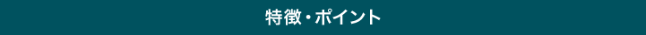 特徴・ポイント