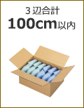3辺合計100cm以内