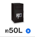 約50L