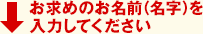 お求めのお名前（名字）を入力してください