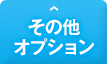 その他オプション