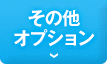 その他オプション